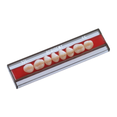 Dente Acrident Anterior/Superior A26 Cor 60 - ProtÃ©tic